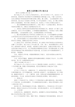 新员工试用期工作小结大全