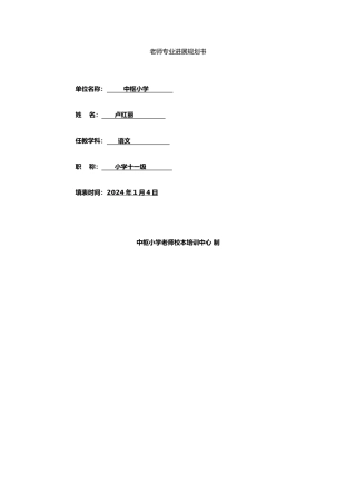 新教师个人发展规划报告