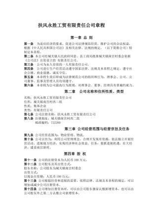 新村一人有限责任公司章程范本