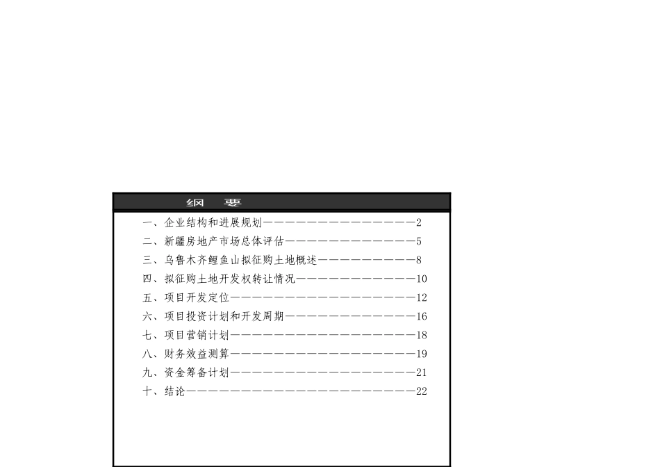 新疆成片土地开发可行性分析报告_第2页