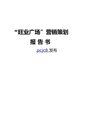 旺业广场营销策划报告书