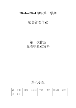 曼哈顿市场营销销售分析
