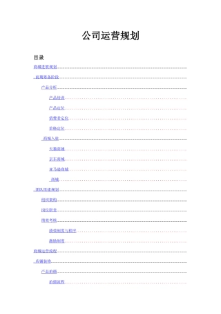 最珍贵公司运营规划（给老板的公司框架方案）