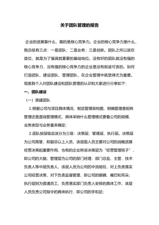 有关团队管理的报告