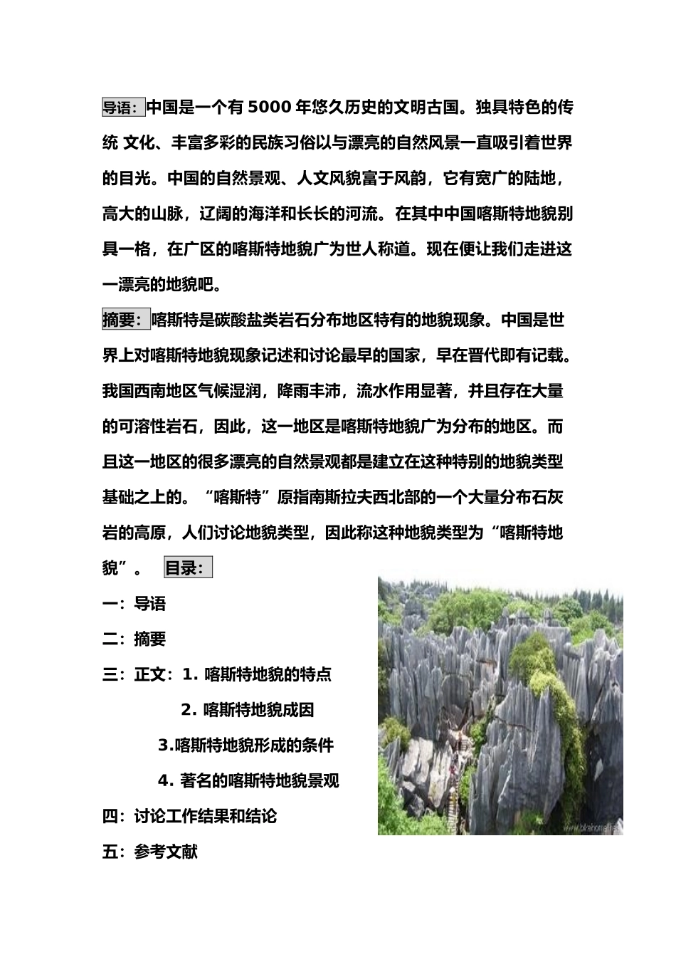 有关喀斯特地貌的分析报告文案_第2页