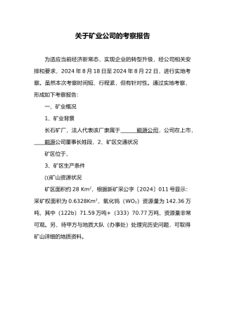 有关矿业公司的考察报告