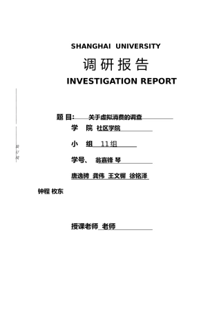 有关虚拟消费的调研报告范本