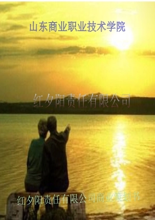 有生活食品企业商业计划书文档