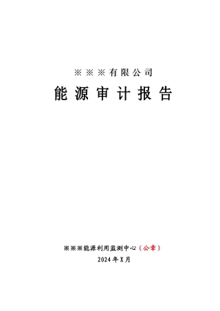 有限公司能源审计报告