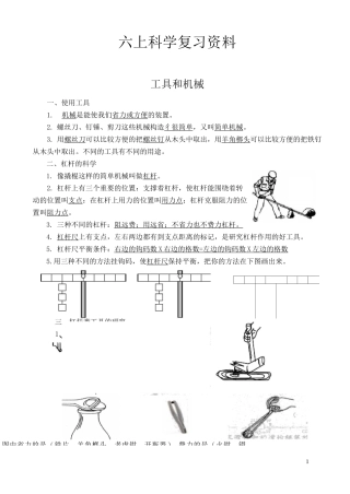 科学六上科学知识点完整版本