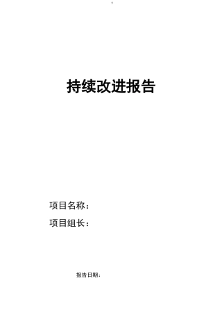 持续改进报告