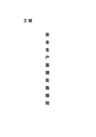 某公司安全生产监理实施细则
