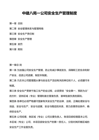 某公司安全生产管理体系制度