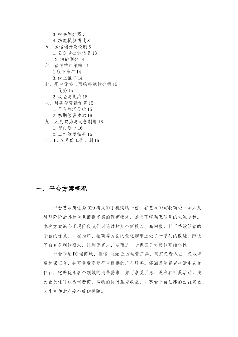 某平台策划实施计划方案_第2页
