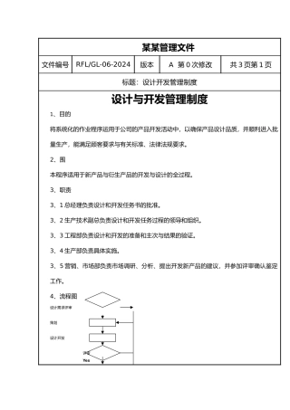 某有限公司设计与开发管理制度