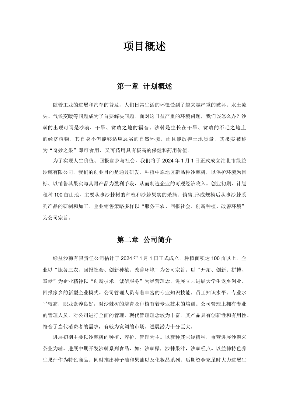 某有限责任公司创业计划书_第2页