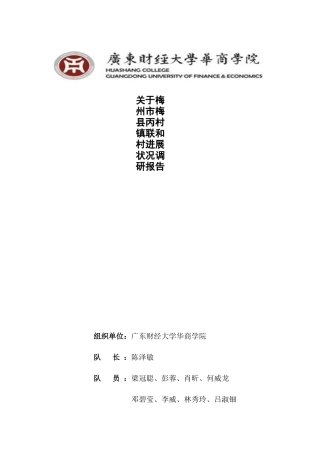 某村镇联和村发展状况调研报告