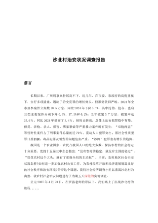 某村治安状况调查报告