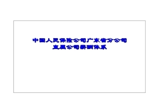 某某保险公司工资规范