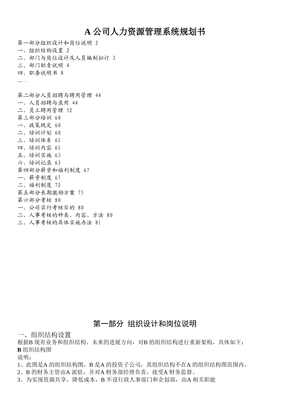 某某公司人力资源管理系统规划书_第1页