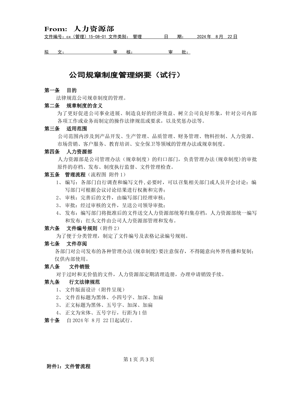 某某公司规章制度管理纲要_第1页