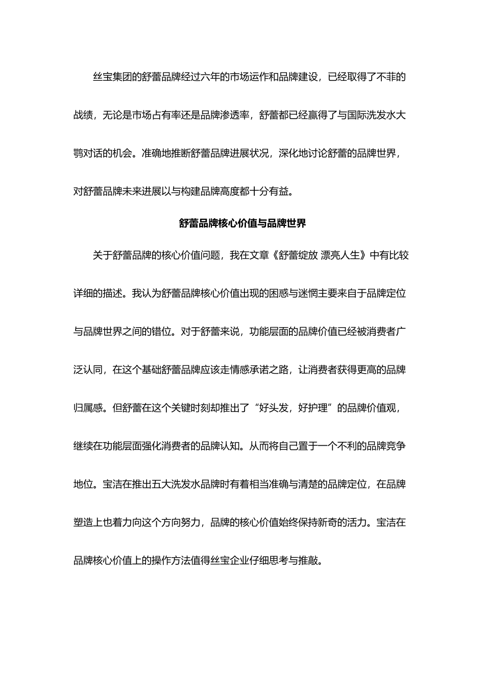 某某年度舒蕾品牌发展报告与策略建议_第2页