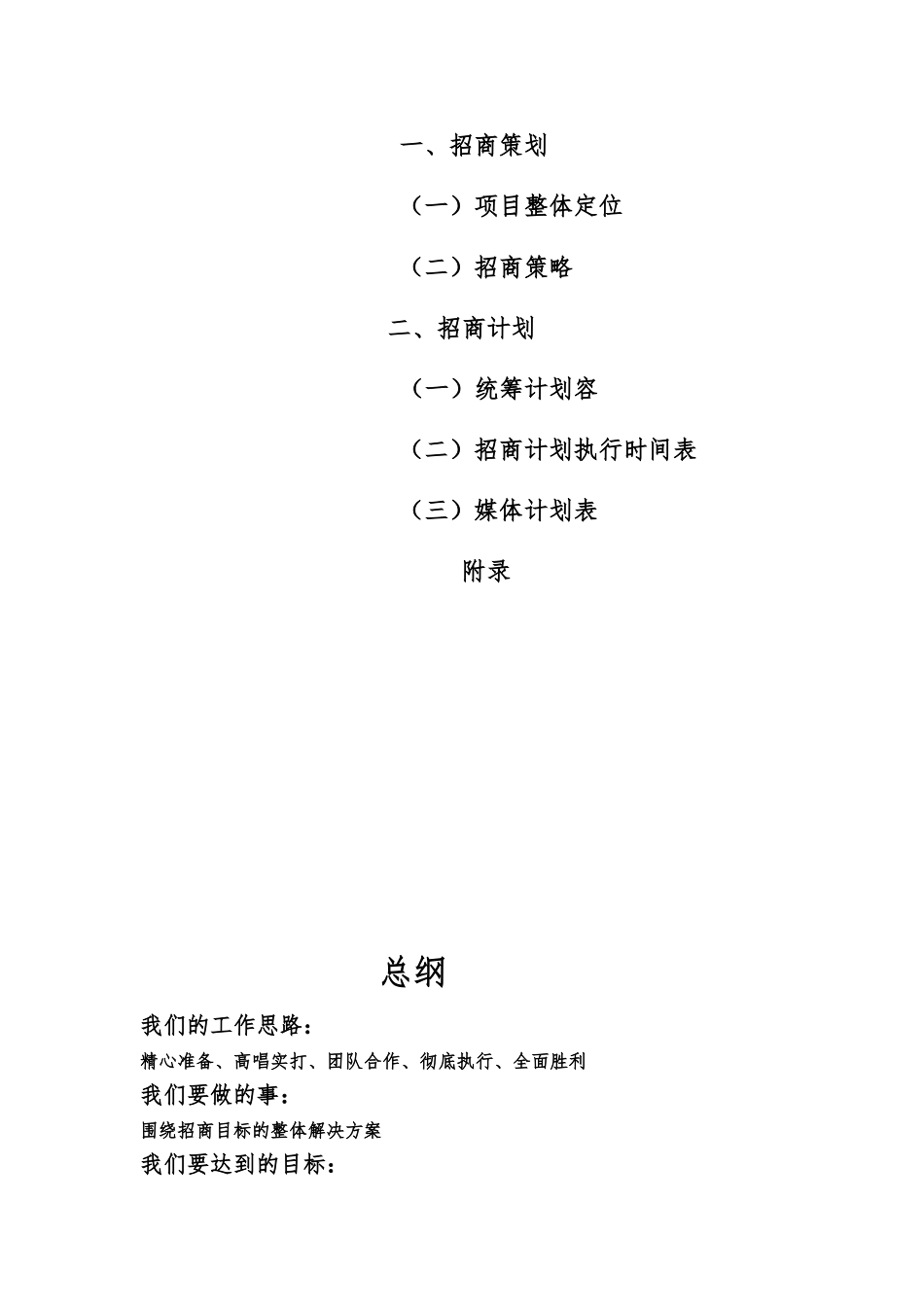 某步行街招商策划报告书_第3页