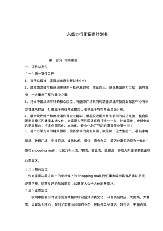 某步行街招商计划书
