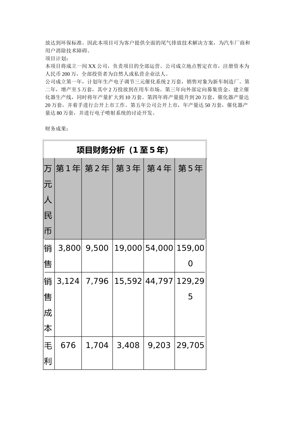 某汽车电子调节系统商业实施计划书_第2页
