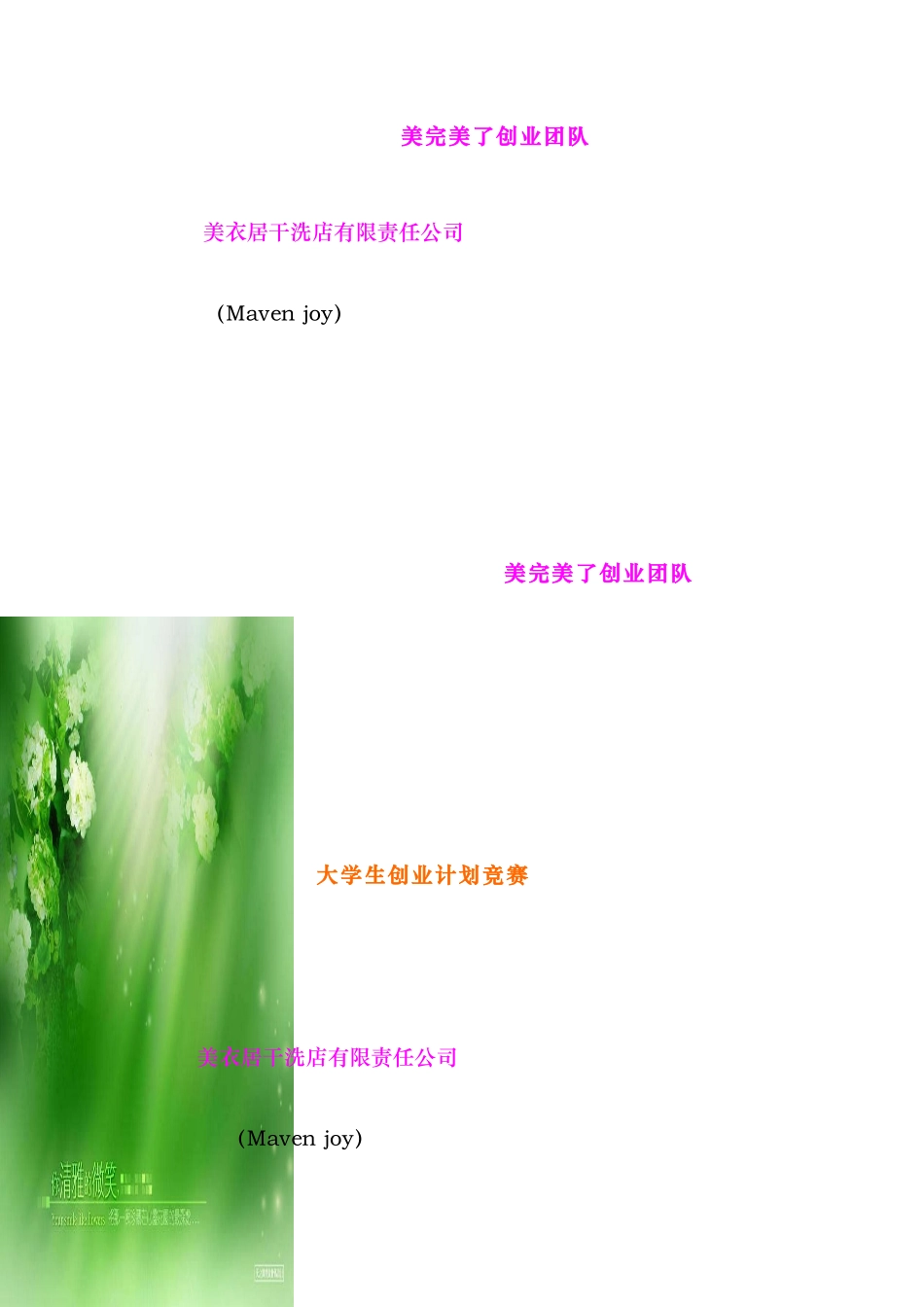 某洗衣店项目策划书_第1页