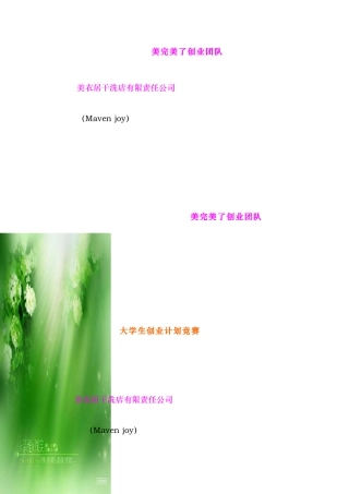 某洗衣店项目策划书