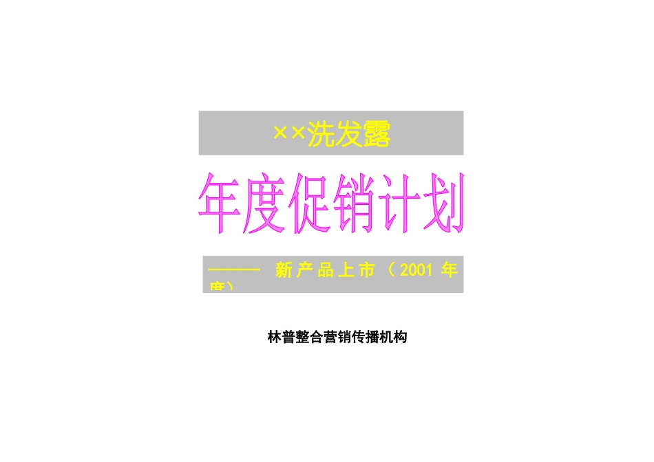 某洗发露产品年度促销计划_第1页
