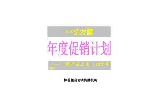 某洗发露产品年度促销计划