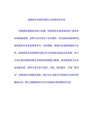 某涂料有限公司品牌运作计划