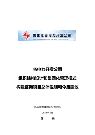 某电力公司组织设计和集团化管理模式咨询