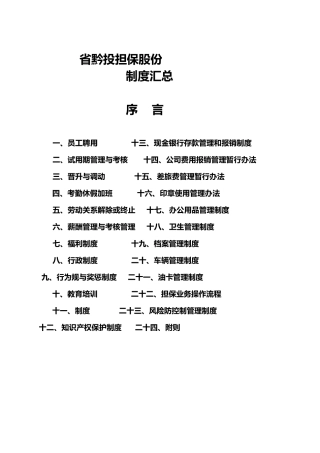 某省黔投担保股份有限公司制度总则