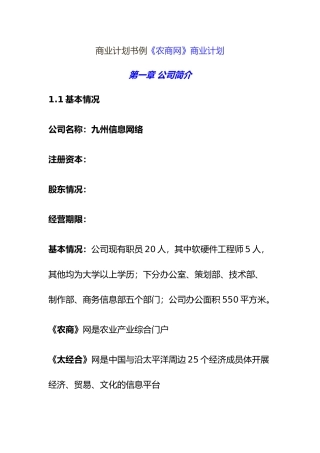 某知名公司商业实施计划书范例