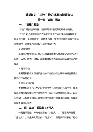 某矿井筹建处三违辨识标准与管理办法