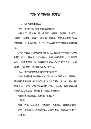 某管业分销市场操作方案