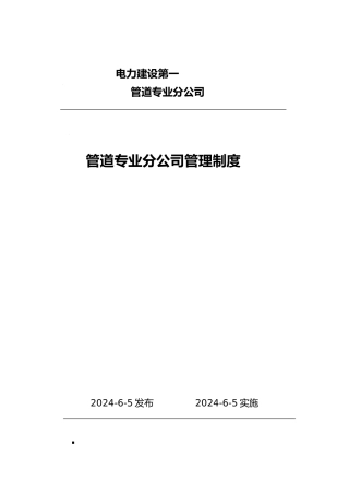某管道专业分公司管理制度范本