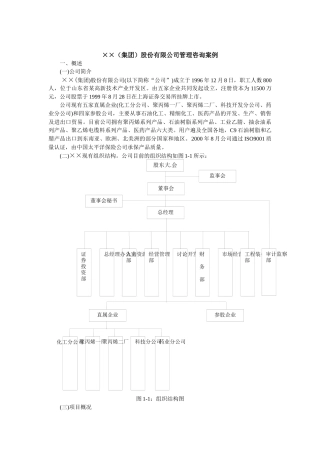 某股份公司管理咨询案例