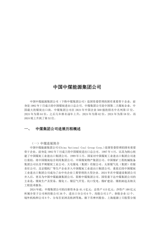 某能源集团公司介绍