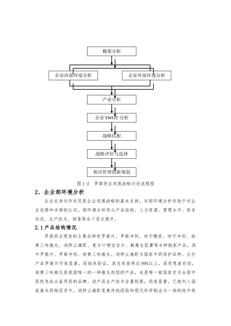 某药业公司发展战略研究报告_第3页