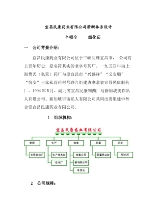 某药业有限公司薪酬体系设计