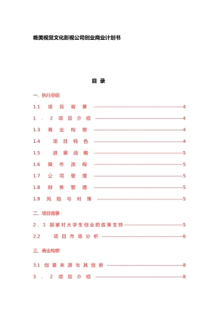 某视觉文化传媒影视公司创业商业实施计划书