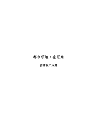 某都市领地招商推广方案
