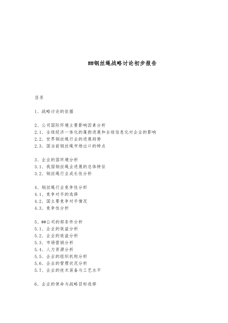 某钢丝绳有限公司战略研究报告_第1页