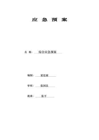 某铝业有限责任公司综合应急处置预案