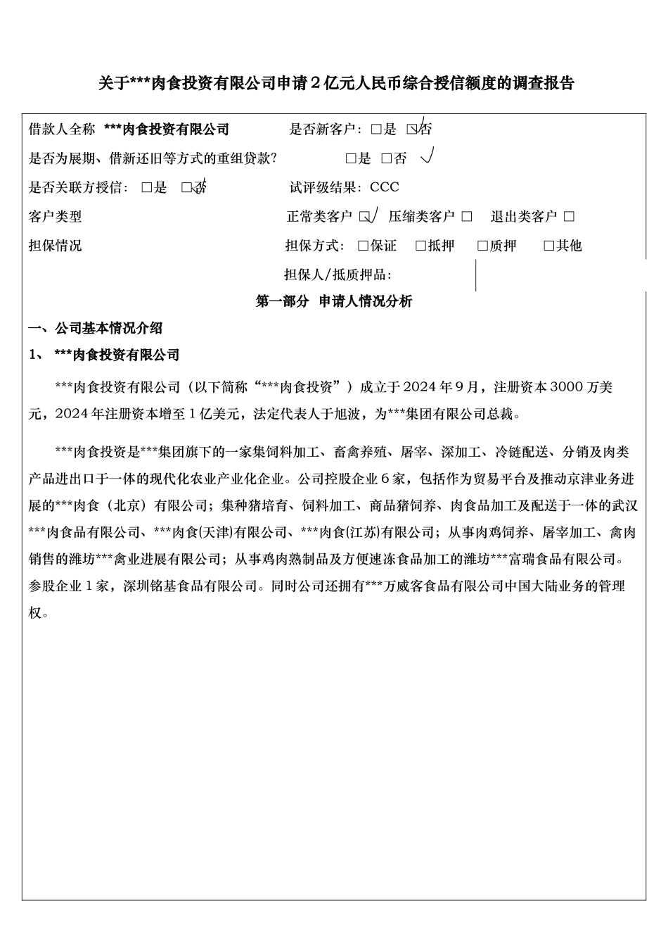 某银行总行营业部公司业务授信调查报告_第3页