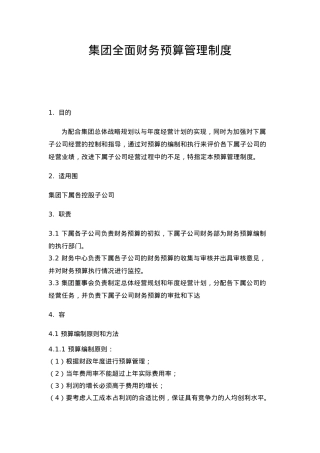 某集团全面财务预算管理制度与表格模板